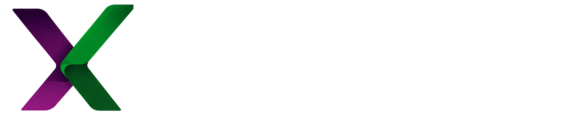 eXmetric Logo